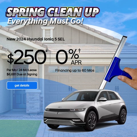 Spring Clean Up at Hyundai City Bay Ridge - Ionic Offer