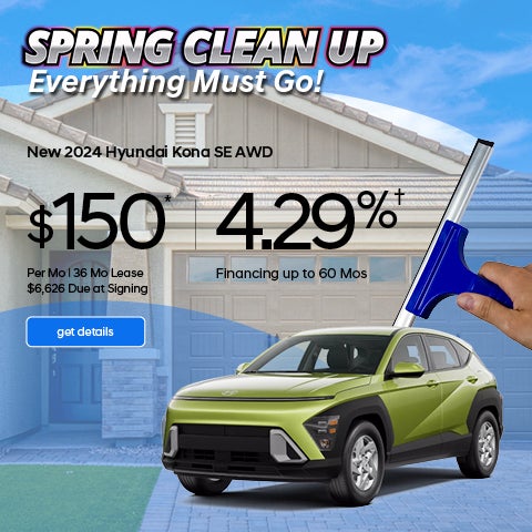 Spring Clean Up at Hyundai City Bay Ridge - Kona Offer