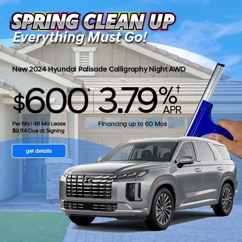 Spring Clean Up at Hyundai City Bay Ridge - Palisade Offer